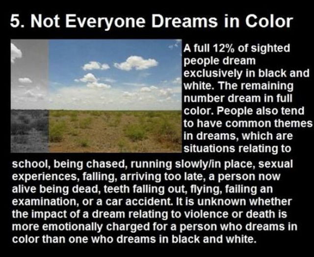 Facts About Dreams - 07