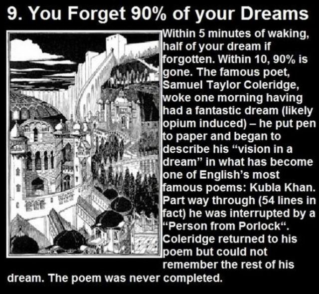 Facts About Dreams - 11