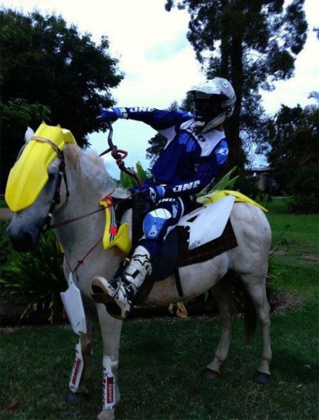 Morning Picdump
