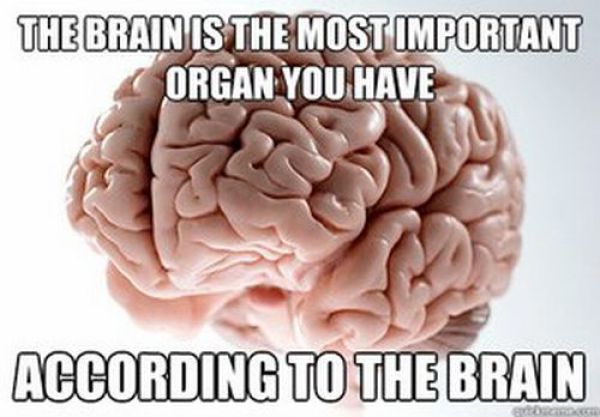 funny_scumbag_brain_meme_640_01.jpg