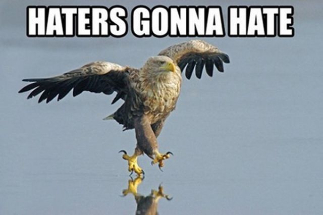 Epic “haters Gonna Hate” Memes 39 Pics 1 Video