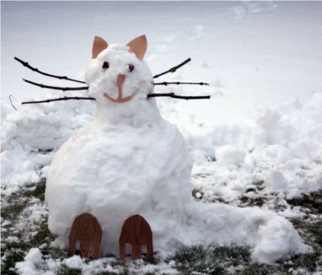 Morning Picdump