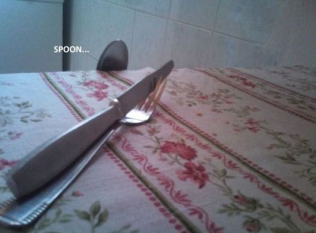 Morning Picdump