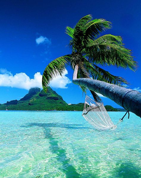 Marvelous Four Seasons Bora Bora