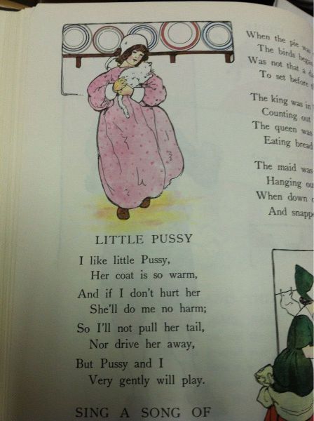 Morning Picdump