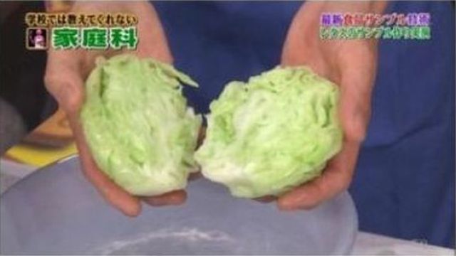 Japanese Fake Cabbage