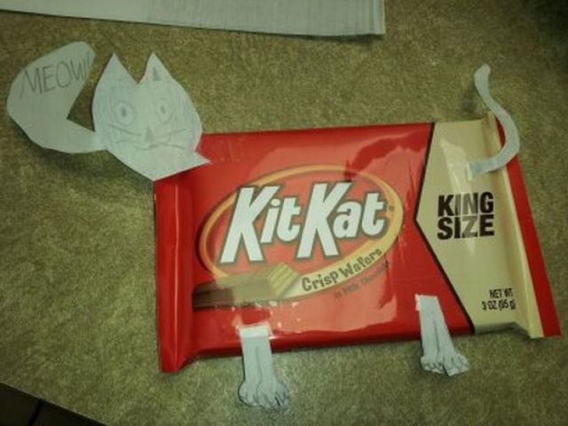 Morning Picdump