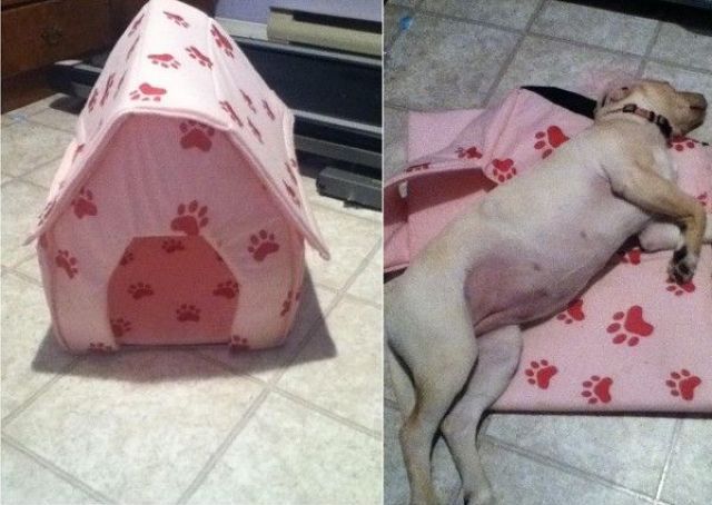 Morning Picdump