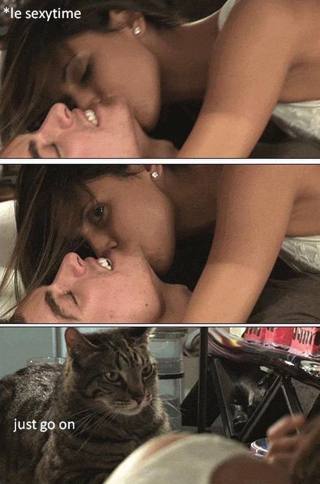 Daily Picdump