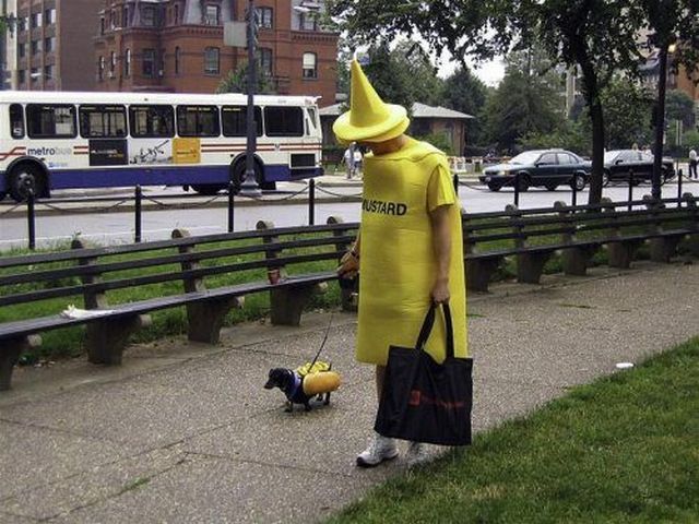 Morning Picdump