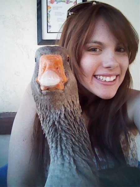 Morning Picdump