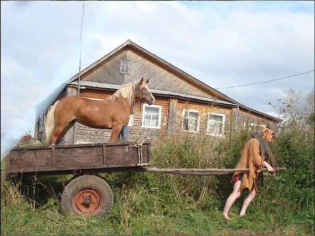 Morning Picdump