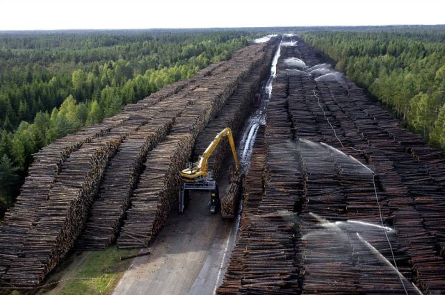World�s Biggest Timber Storage
