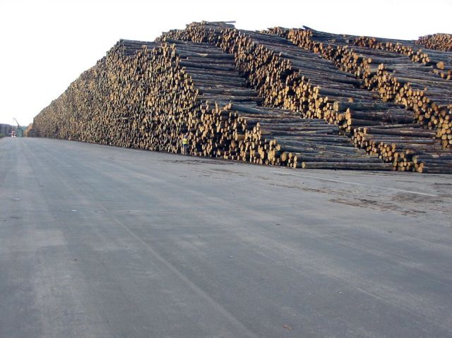World's Biggest Timber Storage