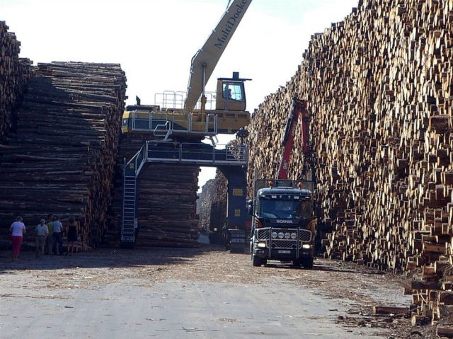 World's Biggest Timber Storage