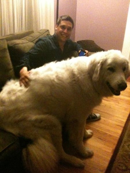 Morning Picdump