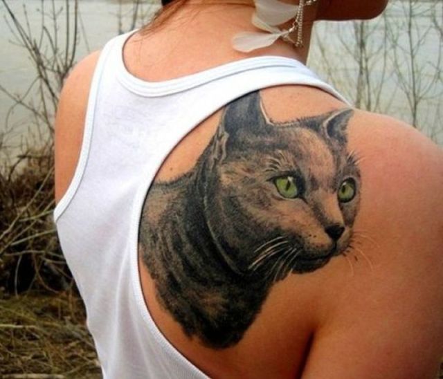 Morning Picdump