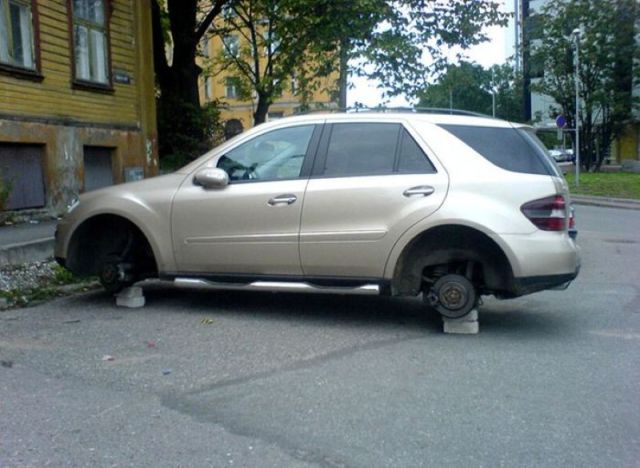 Morning Picdump