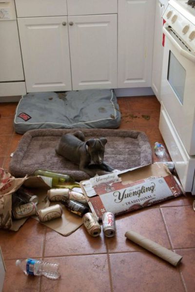 Morning Picdump