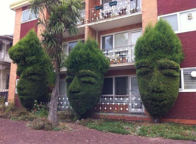 Morning Picdump