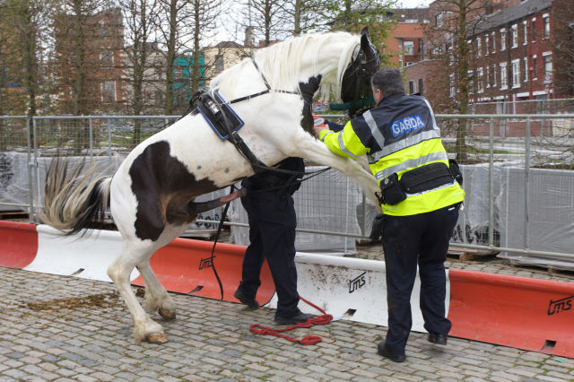 F#ck the Police!