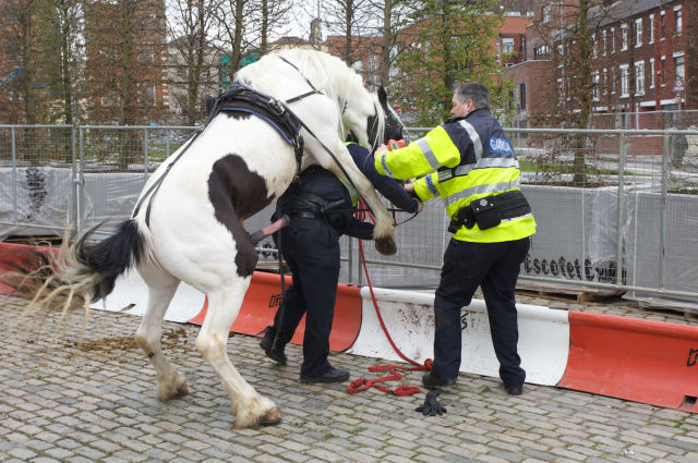 F#ck the Police!
