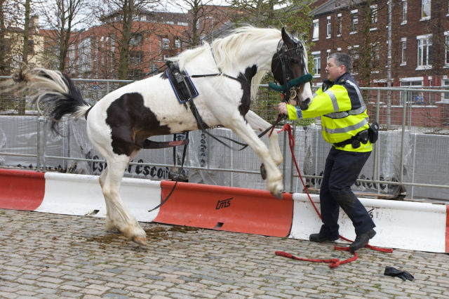 F#ck the Police!