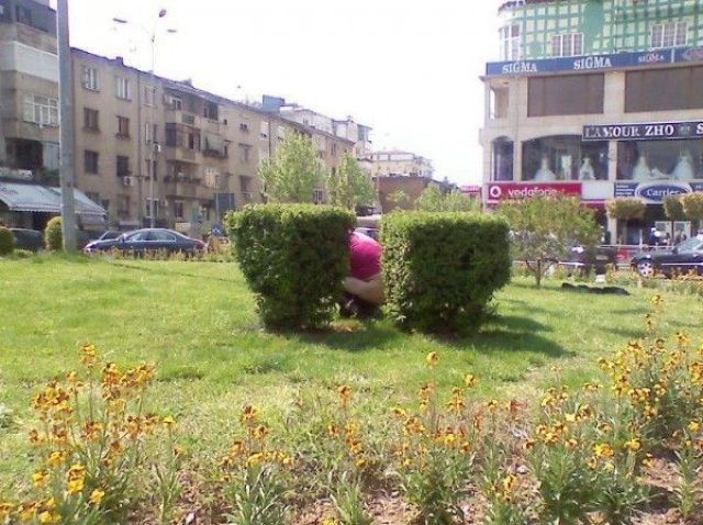 Morning Picdump