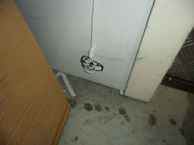 Morning Picdump