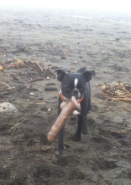 Morning Picdump