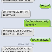 Dog Texting