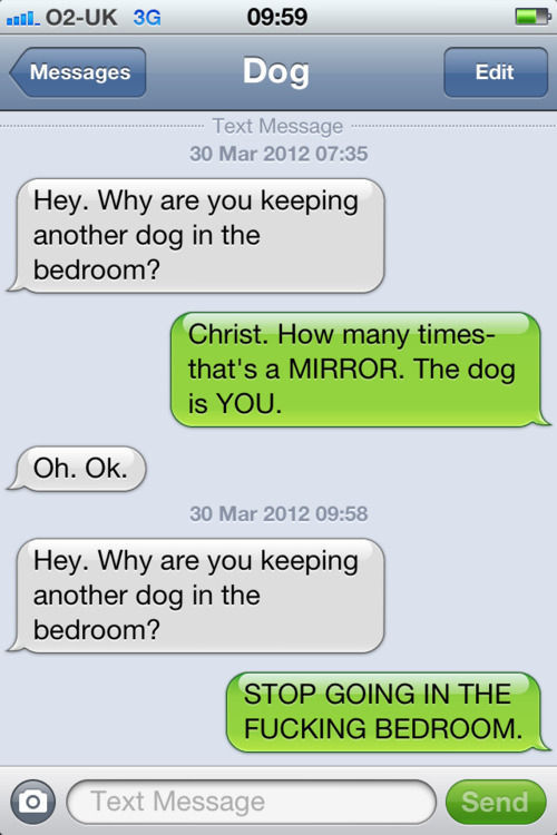 Dog and Owner Texting Messages