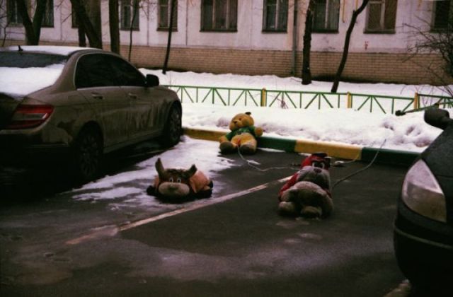 Morning Picdump