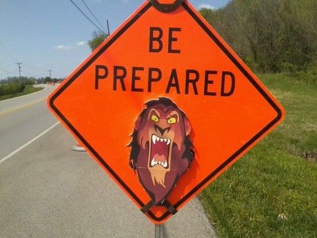 Morning Picdump