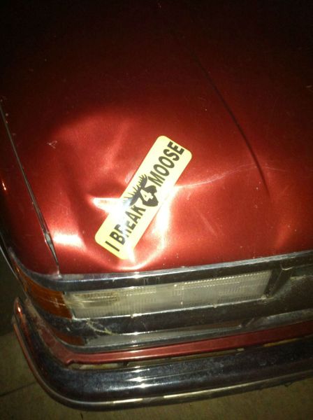 Morning Picdump