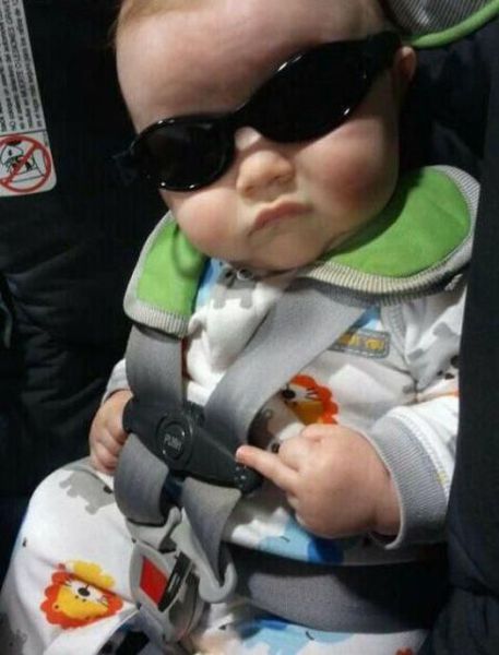 Morning Picdump