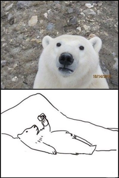 Morning Picdump