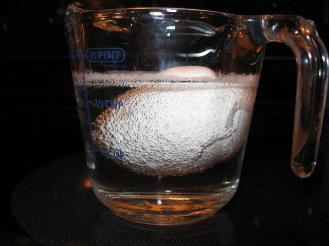What Happens to an Egg Submerged in Vinegar