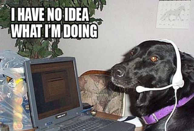 “I Have No Idea What I’m Doing” Meme (20 pics) - Picture #19 - Izismile.com