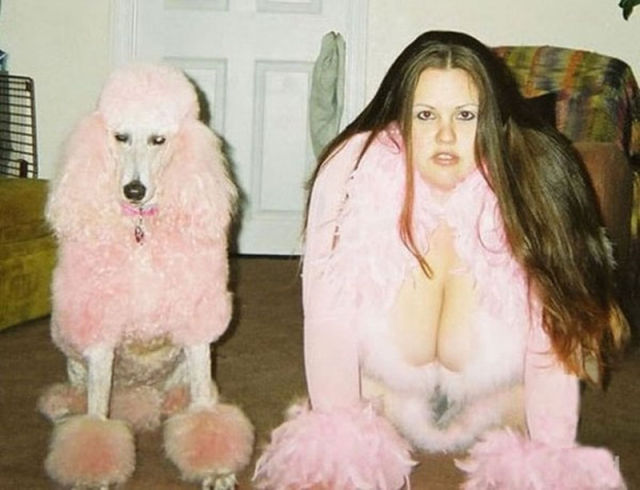 Weird Dog Pictures Which You Can Barely Explain