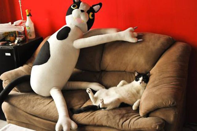 UNYU .... Binatang yang Bermain Dengan Boneka Binatang nya ... ngUNIK.com animals with their stuffed toy counterparts 640 25