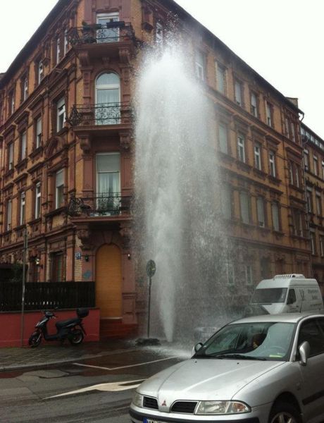 Morning Picdump