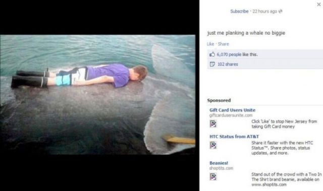 Daily Picdump