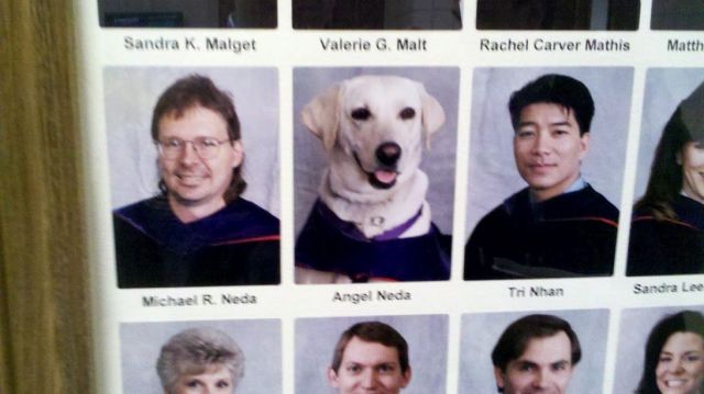 Daily Picdump