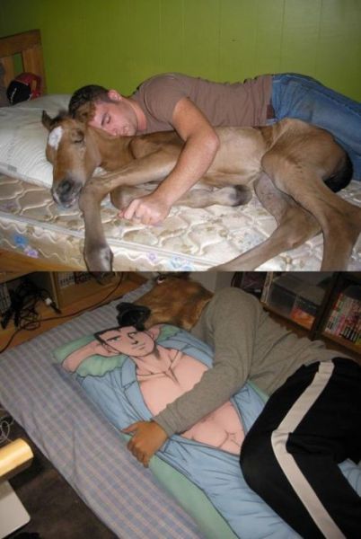 Daily Picdump