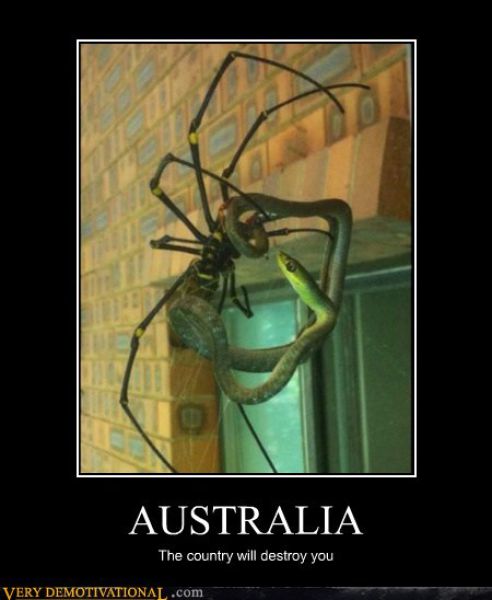 Demotivators Picdump