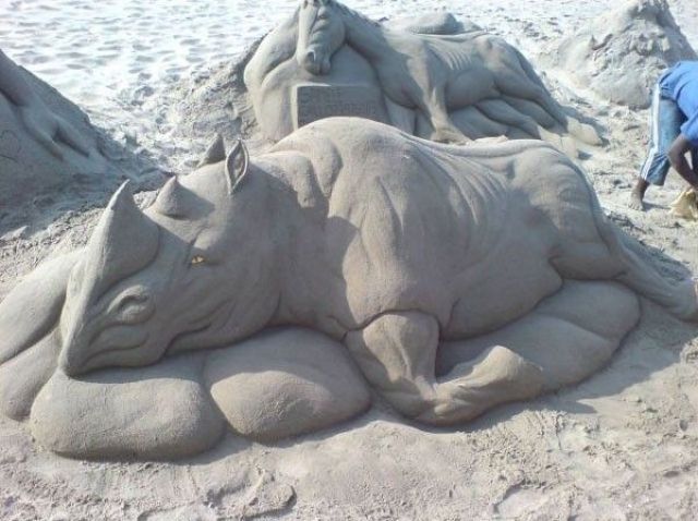 Morning Picdump