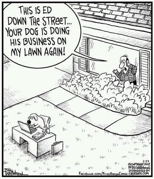 Morning Picdump