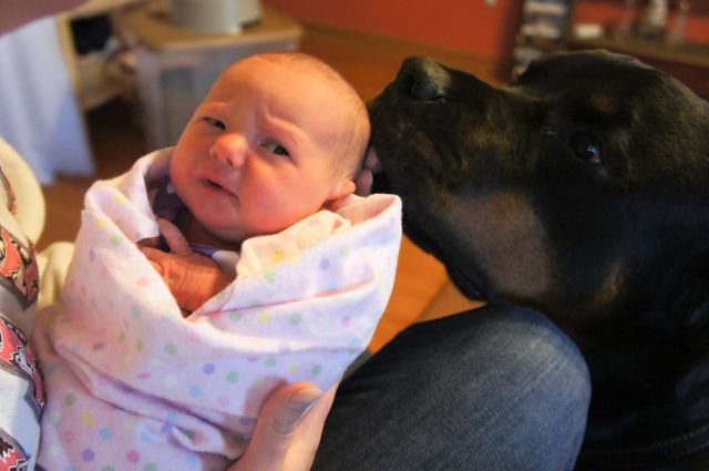 Daily Picdump