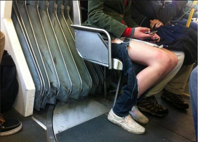 Daily Picdump